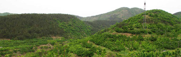 全景