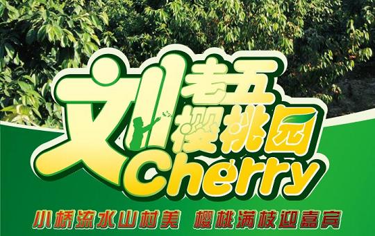 旅顺龙王塘刘老五樱桃园