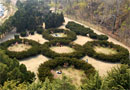 龙王塘樱花园